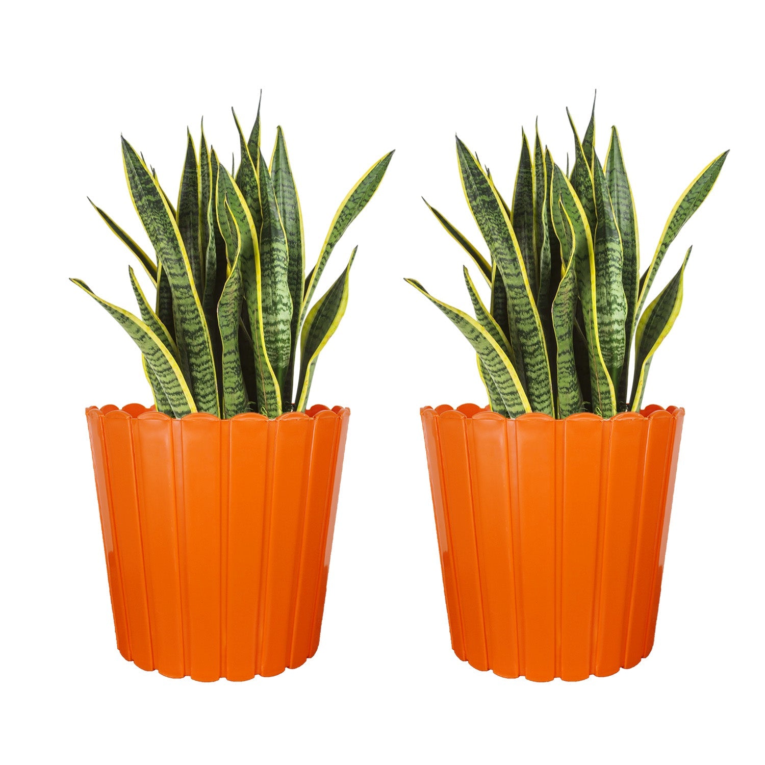 7 Inch Poppy Round Flower Pots  Set of 10