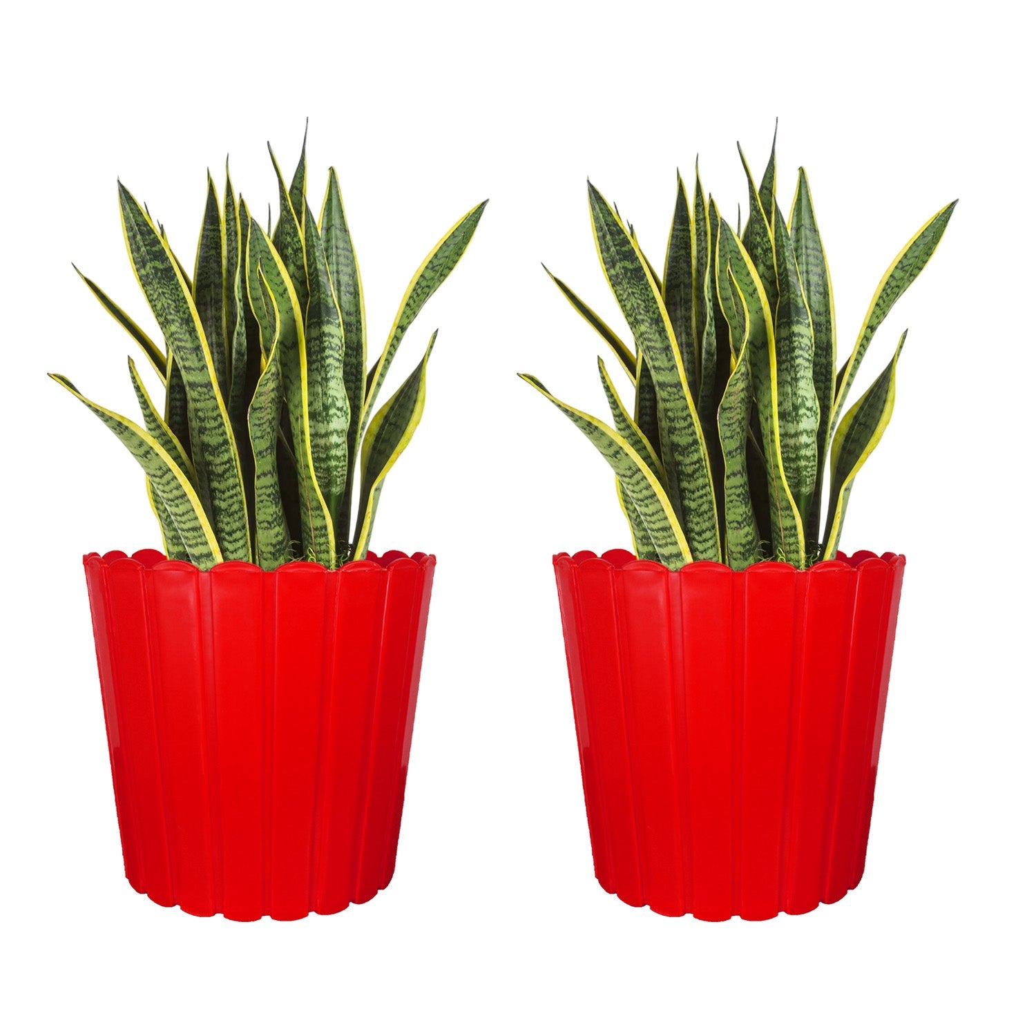 7 Inch Poppy Round Flower Pots  Set of 2
