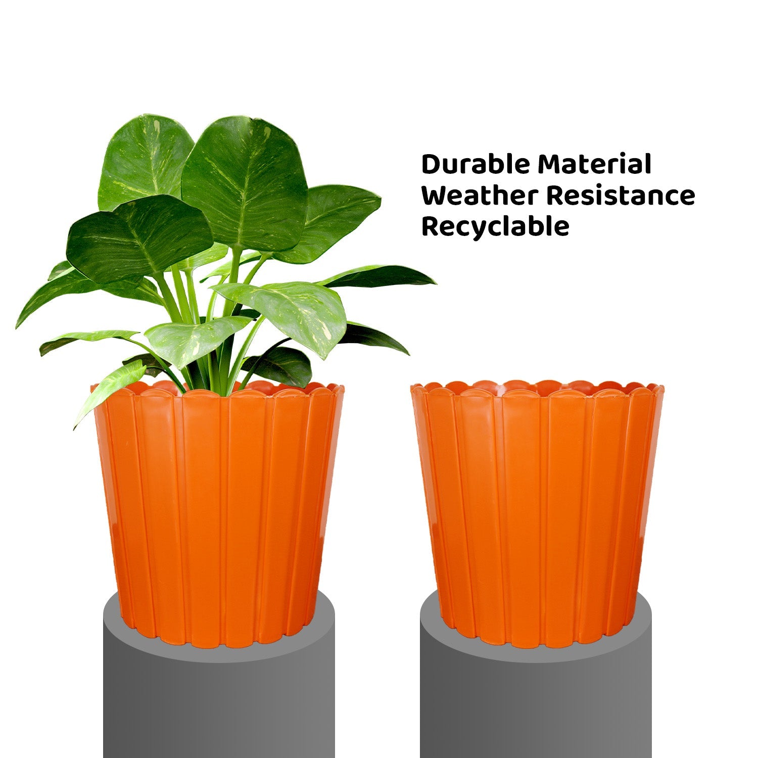 7 Inch Poppy Round Flower Pots  Set of 2