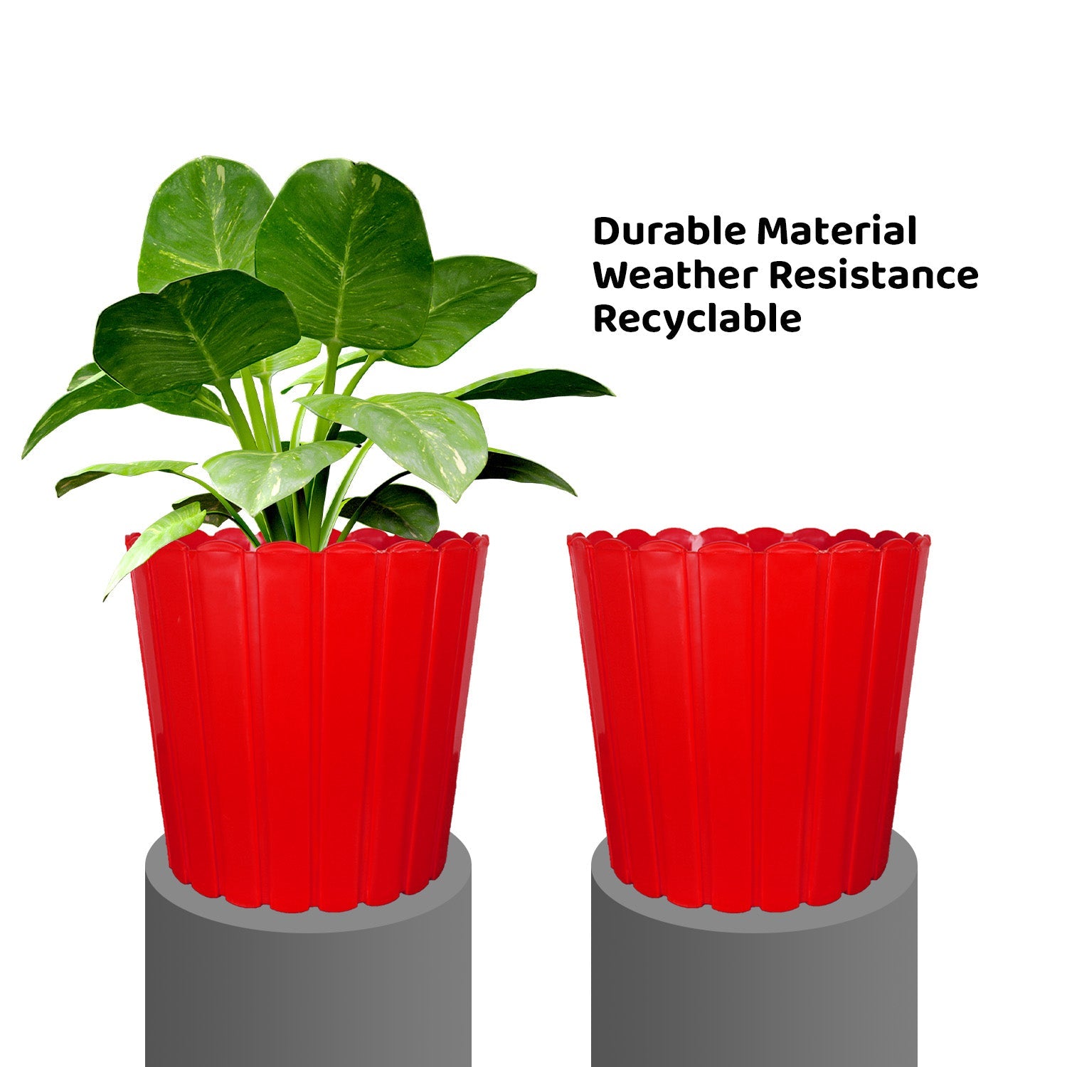 7 Inch Poppy Round Flower Pots  Set of 2