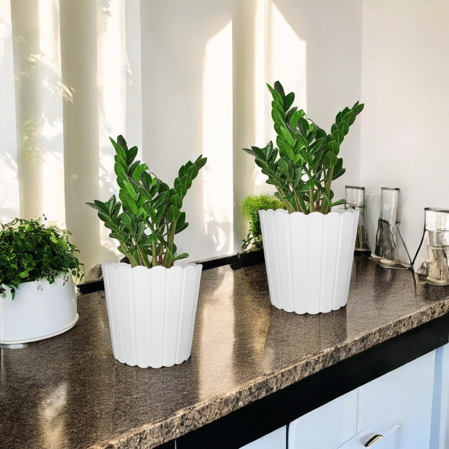 7 Inch Poppy Round Flower Pots  Set of 5