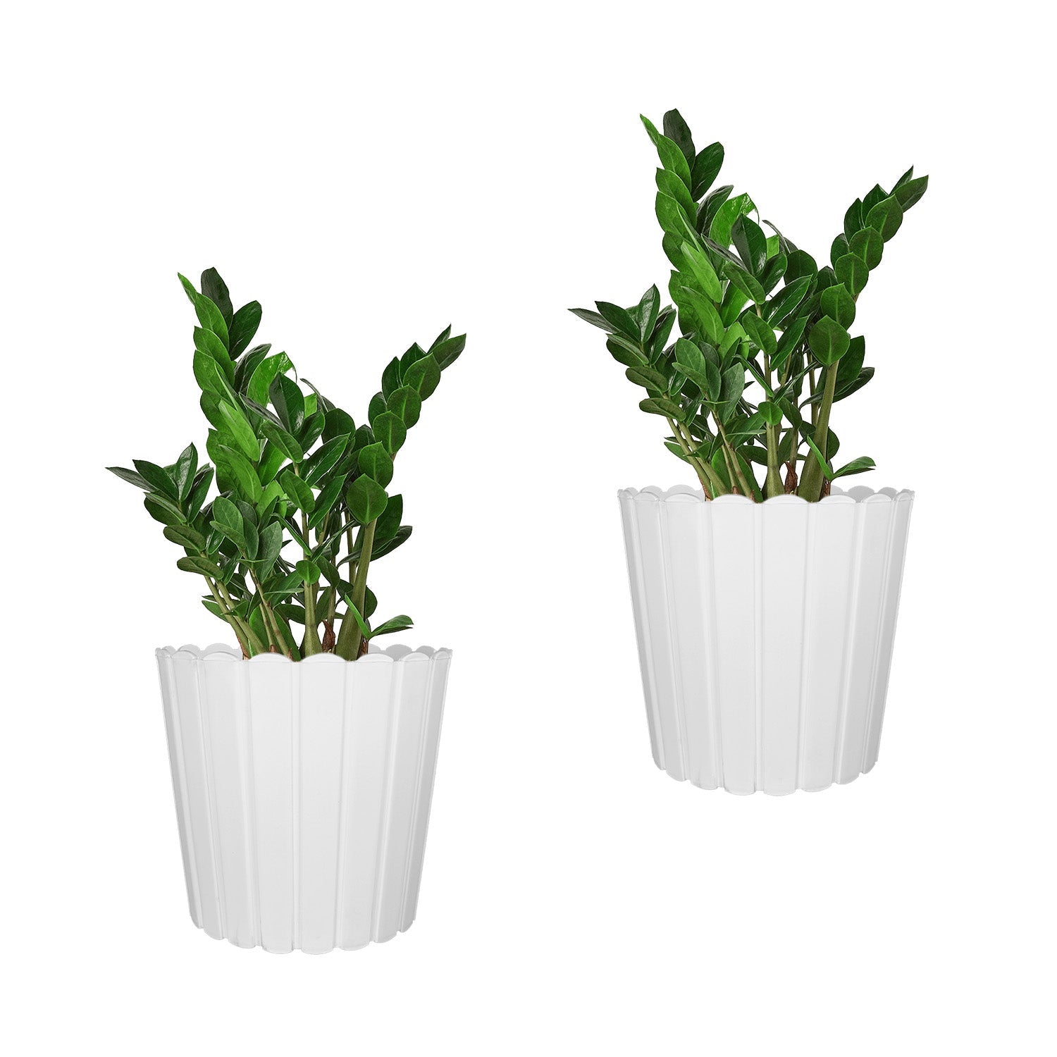 7 Inch Poppy Round Flower Pots  Set of 5