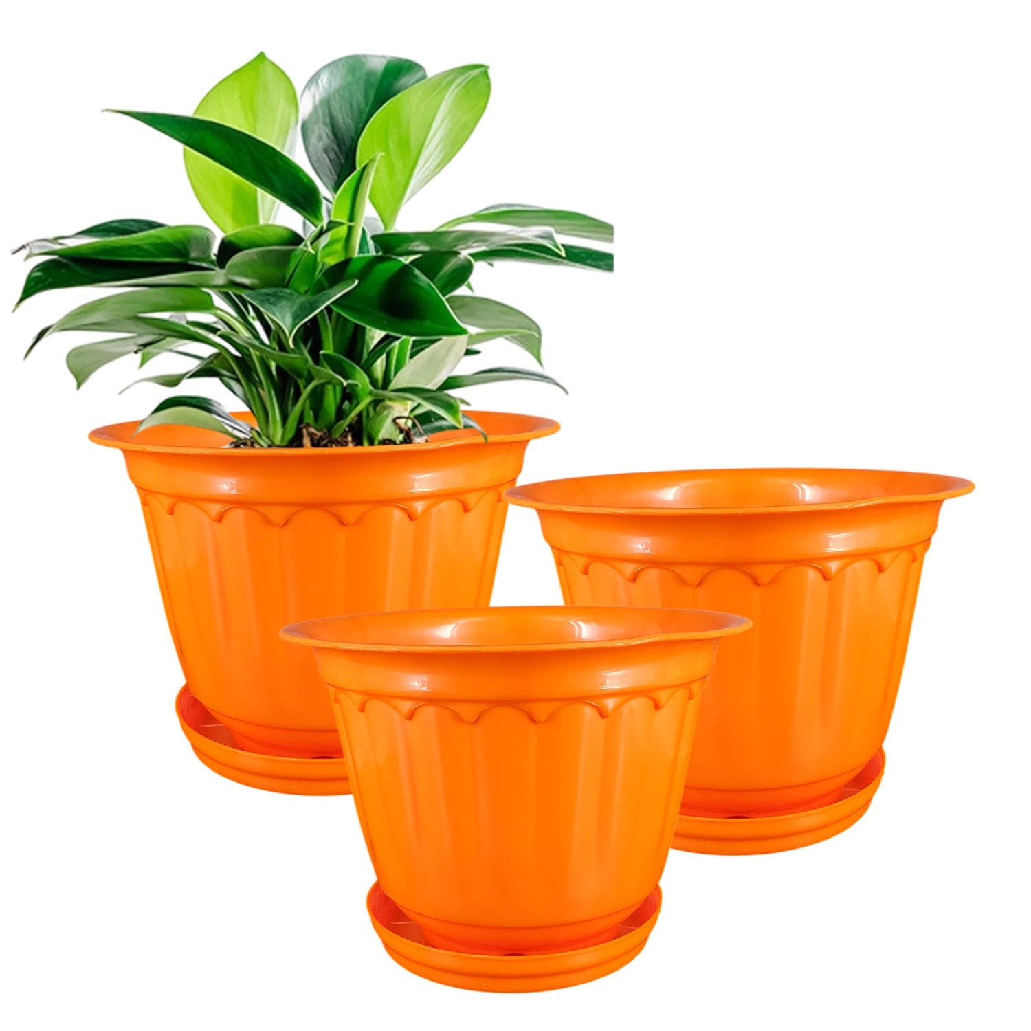 12 Inch Jasmine Planters with Drip Tray Home & Garden Decor (Set of 3)