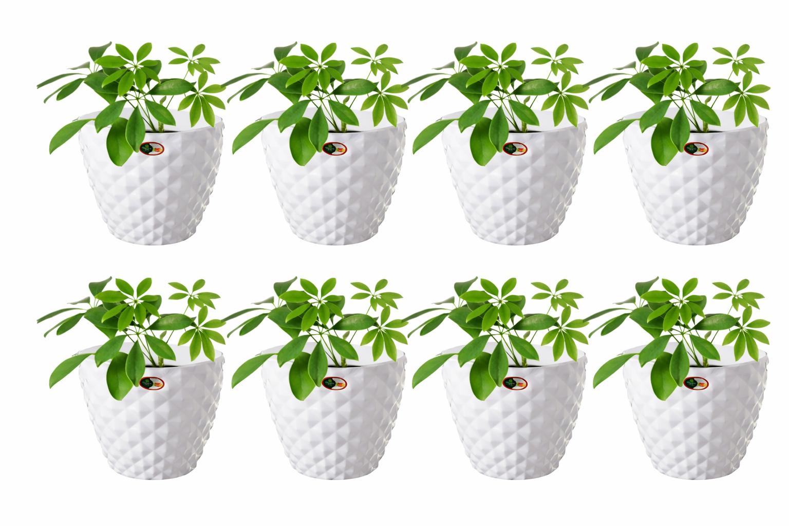 6 Inch Kohinoor Round Planter Set of 8 White Plastic Pots for Home, Garden & Office Decor