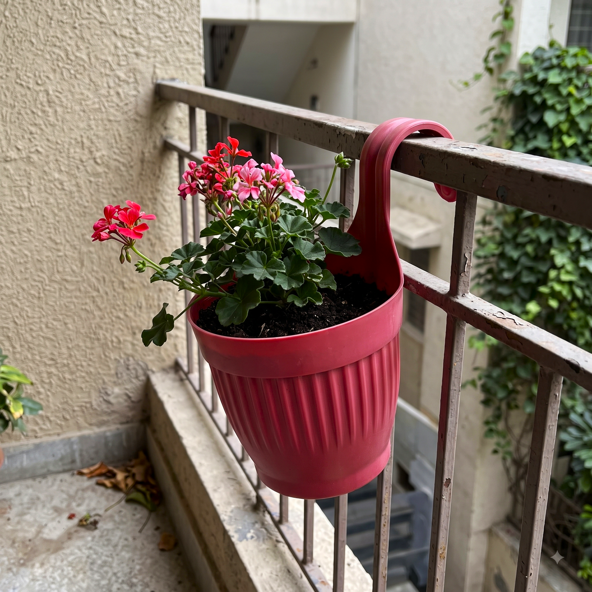 Dzire Wall Hanging Flower Pot – 7 Inch Ribbed Planter with Hook Handle | Set of 5