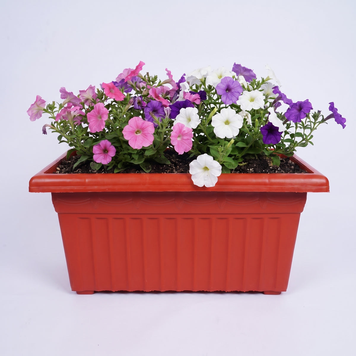 Victor Flora Pot with Bottom Tray, 24 inch (61 cm) - Set of 2