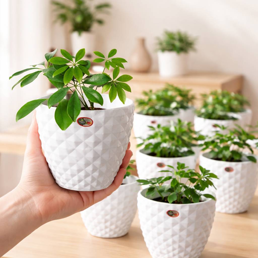 6 Inch Kohinoor Round Planter Set of 8 White Plastic Pots for Home, Garden & Office Decor