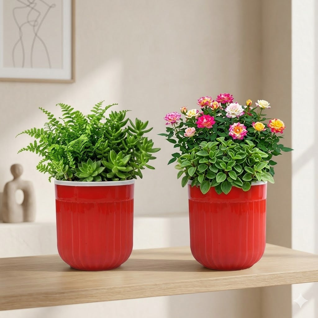 8" Transparent Self-Watering Seoul Pots (White, Set of 2) – Sleek Hydroponic Planters