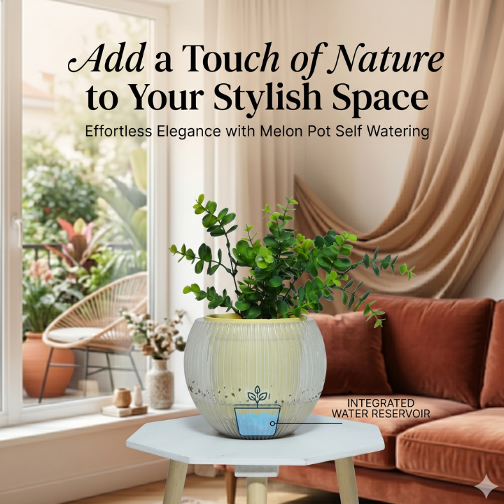 Self-Watering Melon Planter 7 inch (18 cm)