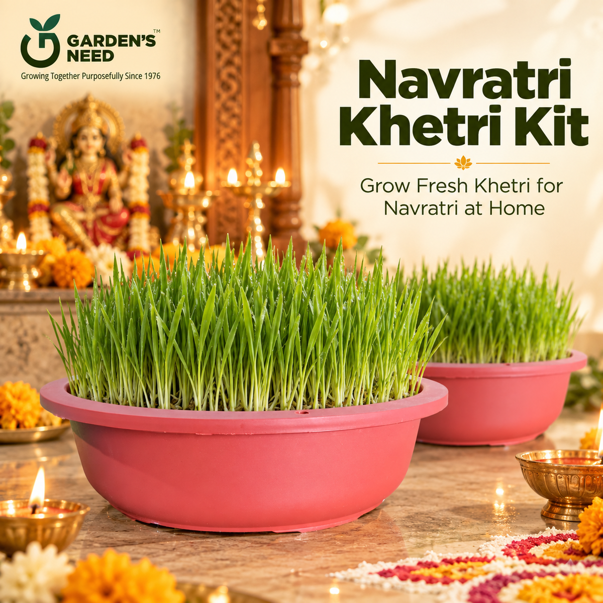 Navratri Khetri Growing Kit with 2 Round 10 Inch Plastic Pots, Cocopeat Block & Barley Jau Seeds