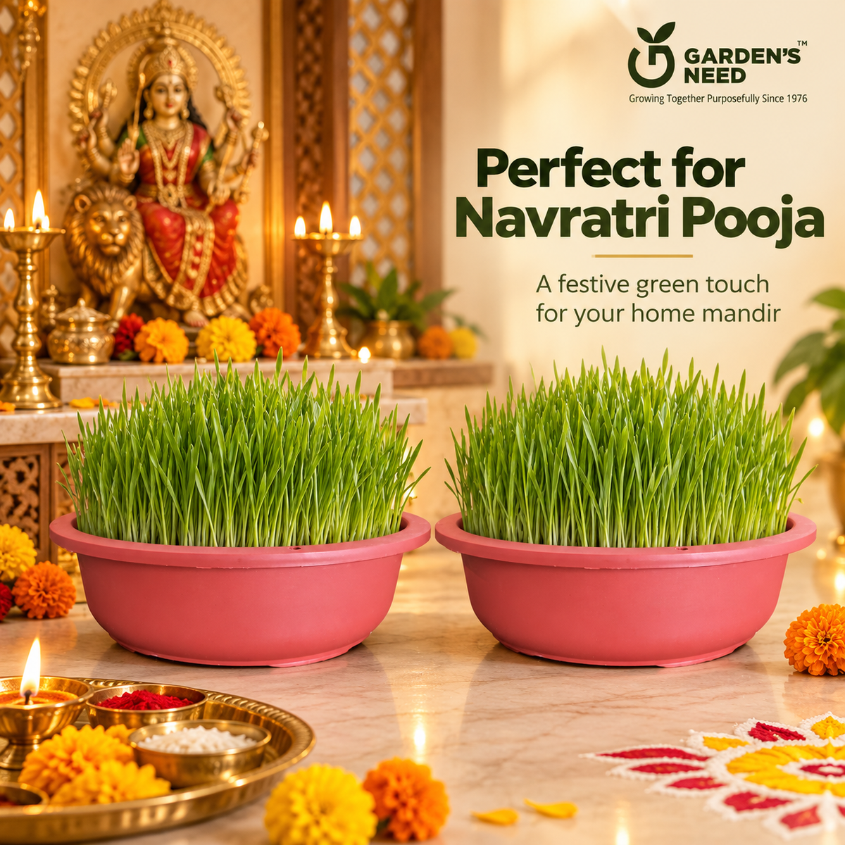 Navratri Khetri Growing Kit with 2 Round 10 Inch Plastic Pots, Cocopeat Block & Barley Jau Seeds