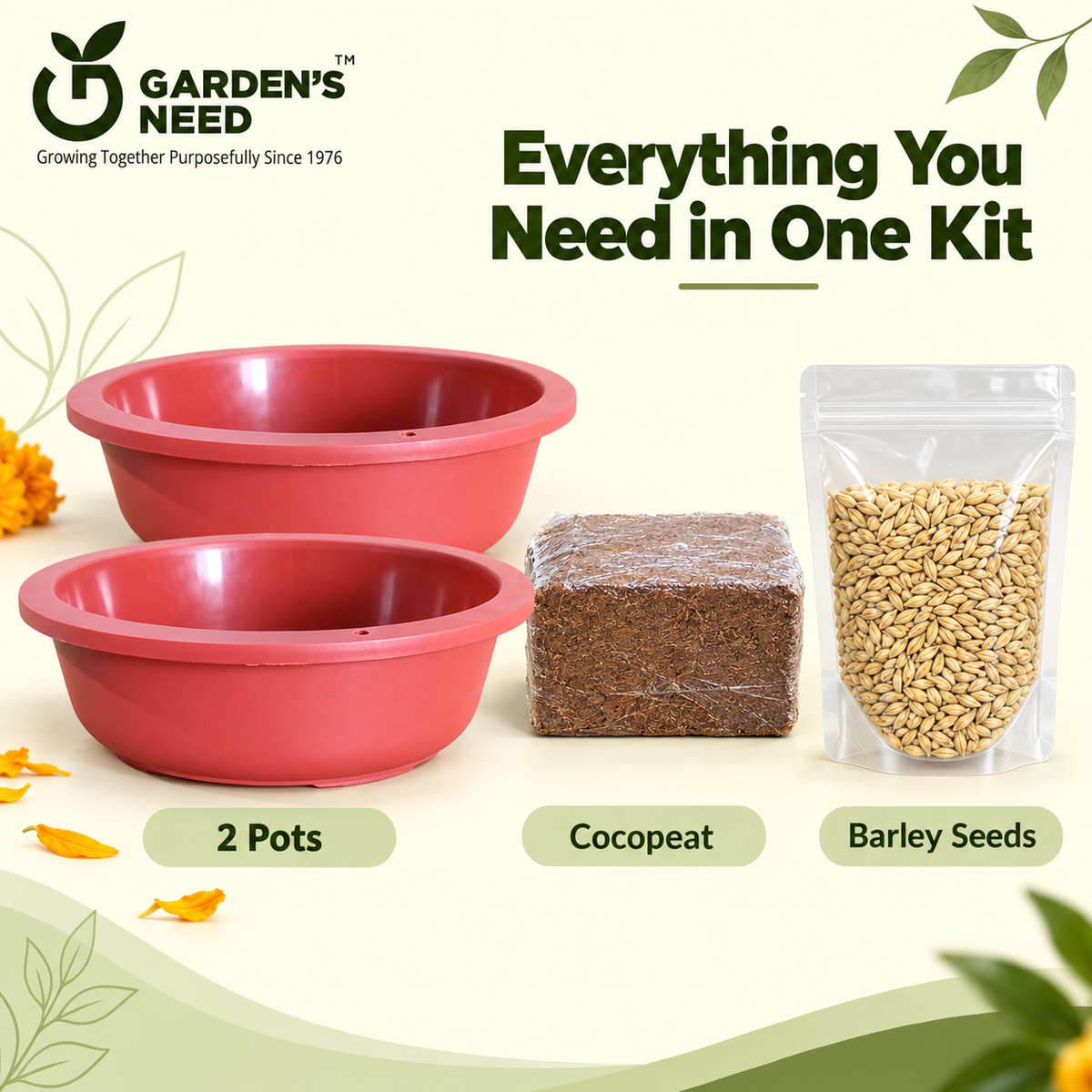 Navratri Khetri Growing Kit with 2 Round 10 Inch Plastic Pots, Cocopeat Block & Barley Jau Seeds