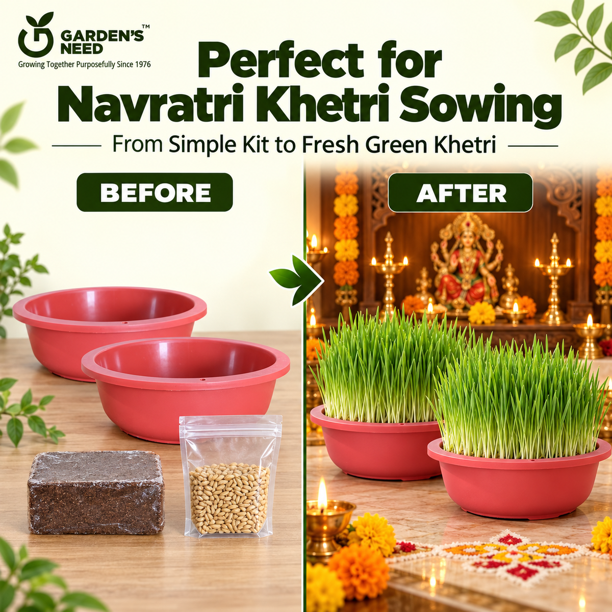 Navratri Khetri Growing Kit with 2 Round 10 Inch Plastic Pots, Cocopeat Block & Barley Jau Seeds