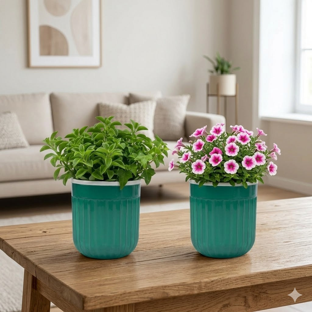 8" Transparent Self-Watering Seoul Pots (White, Set of 2) – Sleek Hydroponic Planters