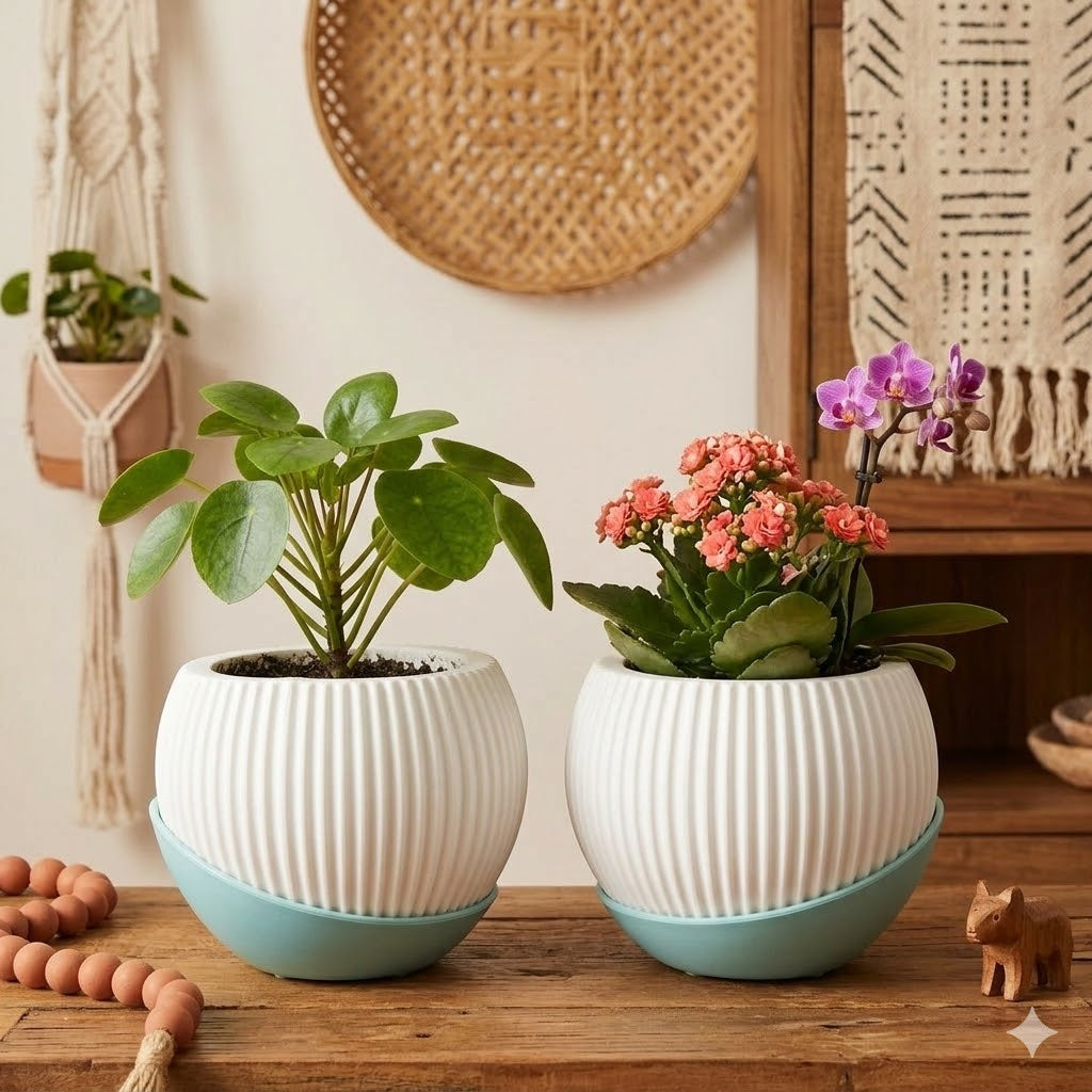 Melon 4.5" Peach Ceramic Pot with Moon Tray (Set of 2)