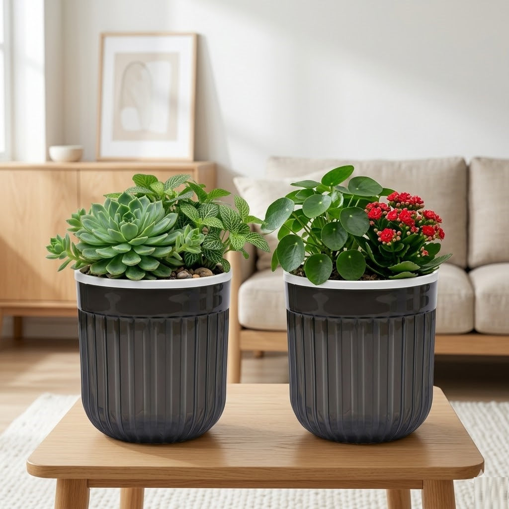 Seoul 6" Transparent Self-Watering Pots with White Inserts (Set of 2) – Modern Sleek Planters for Indoor Plants