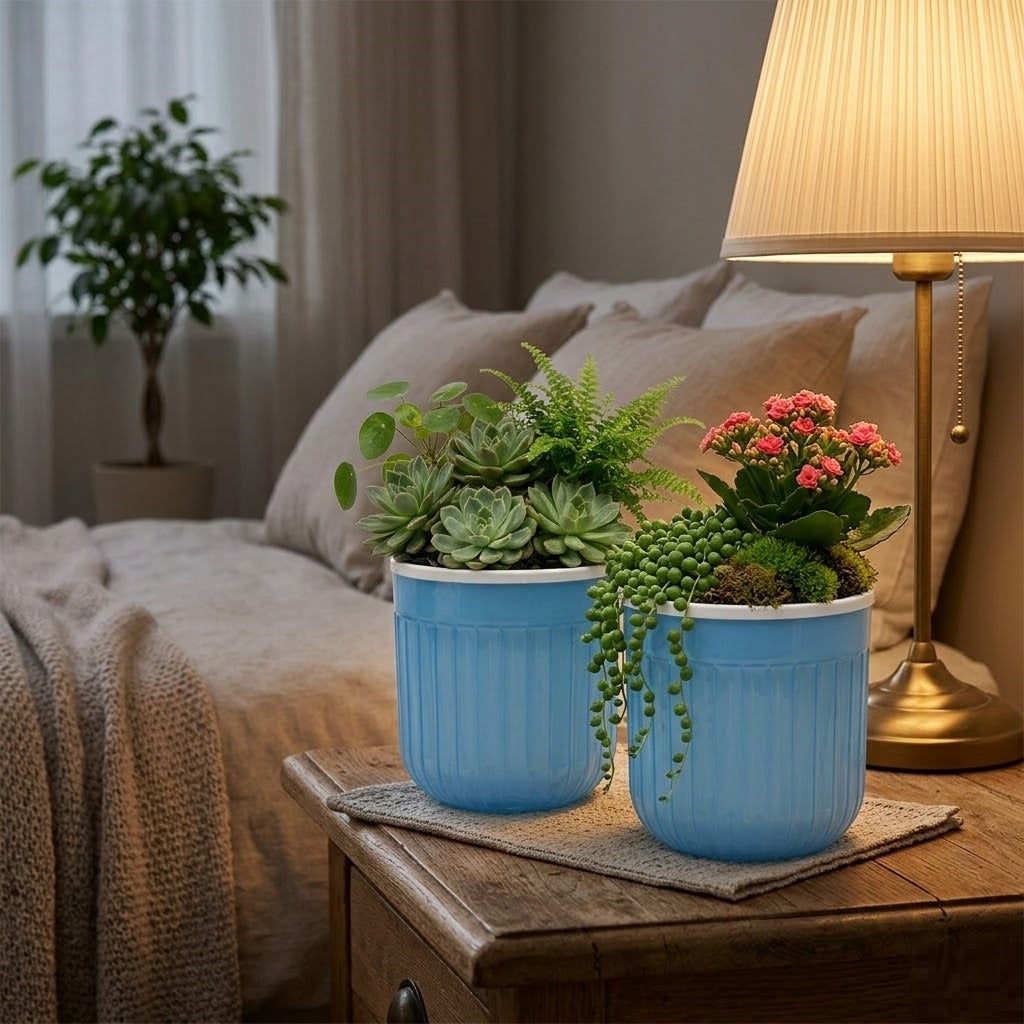 Seoul 6" Transparent Self-Watering Pots with White Inserts (Set of 2) – Modern Sleek Planters for Indoor Plants