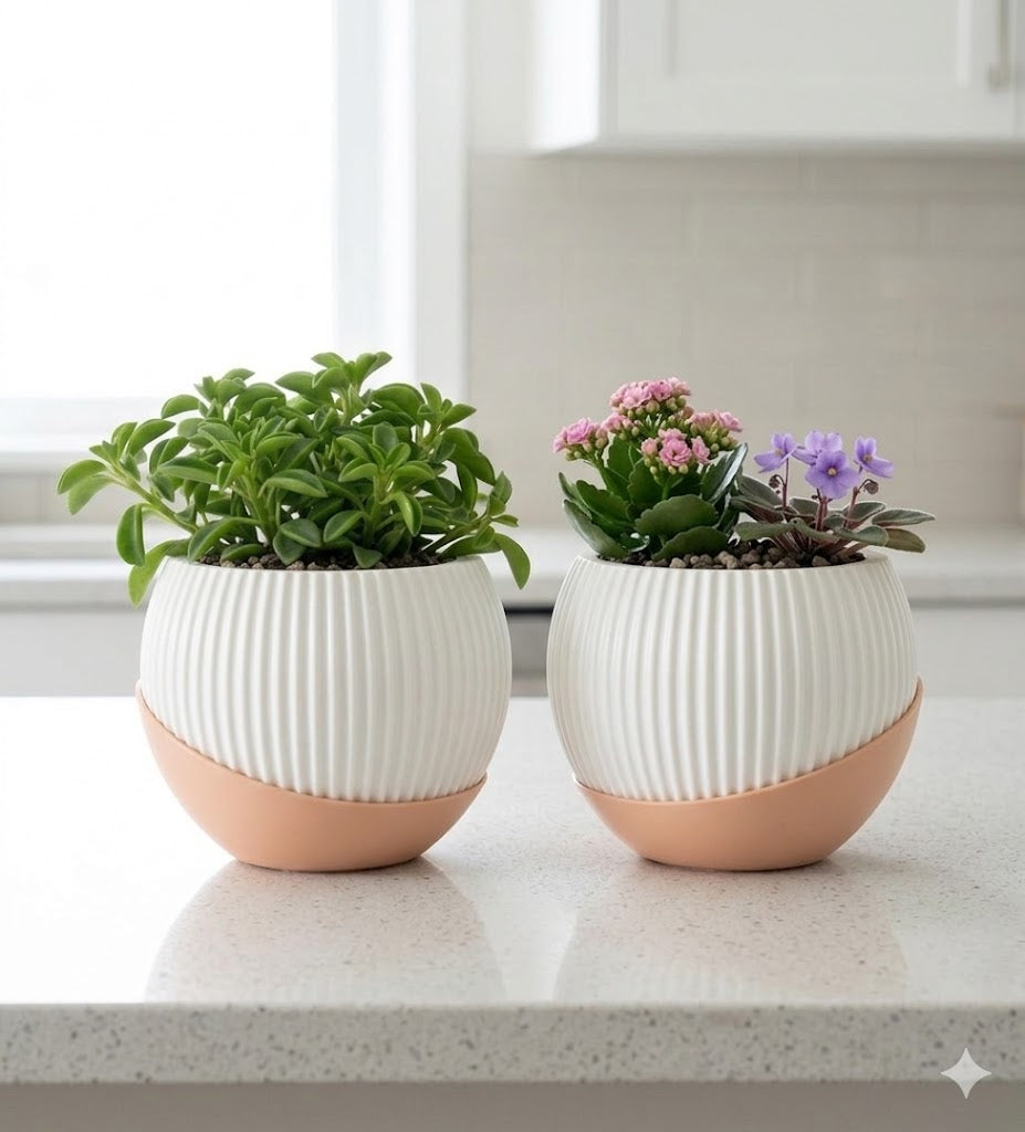 Melon 4.5" Peach Ceramic Pot with Moon Tray (Set of 2)